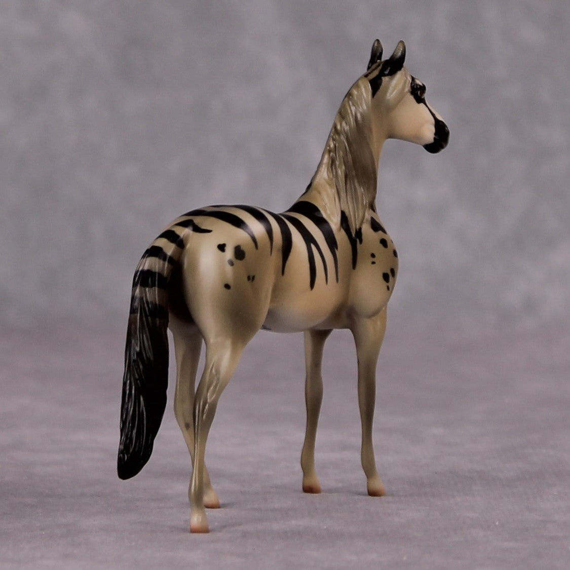 "Viverrid" LE-3 Banded Civet Inspired Deco Morgan Chip By Jess Hamill - 2025 The Menagerie Series MS25