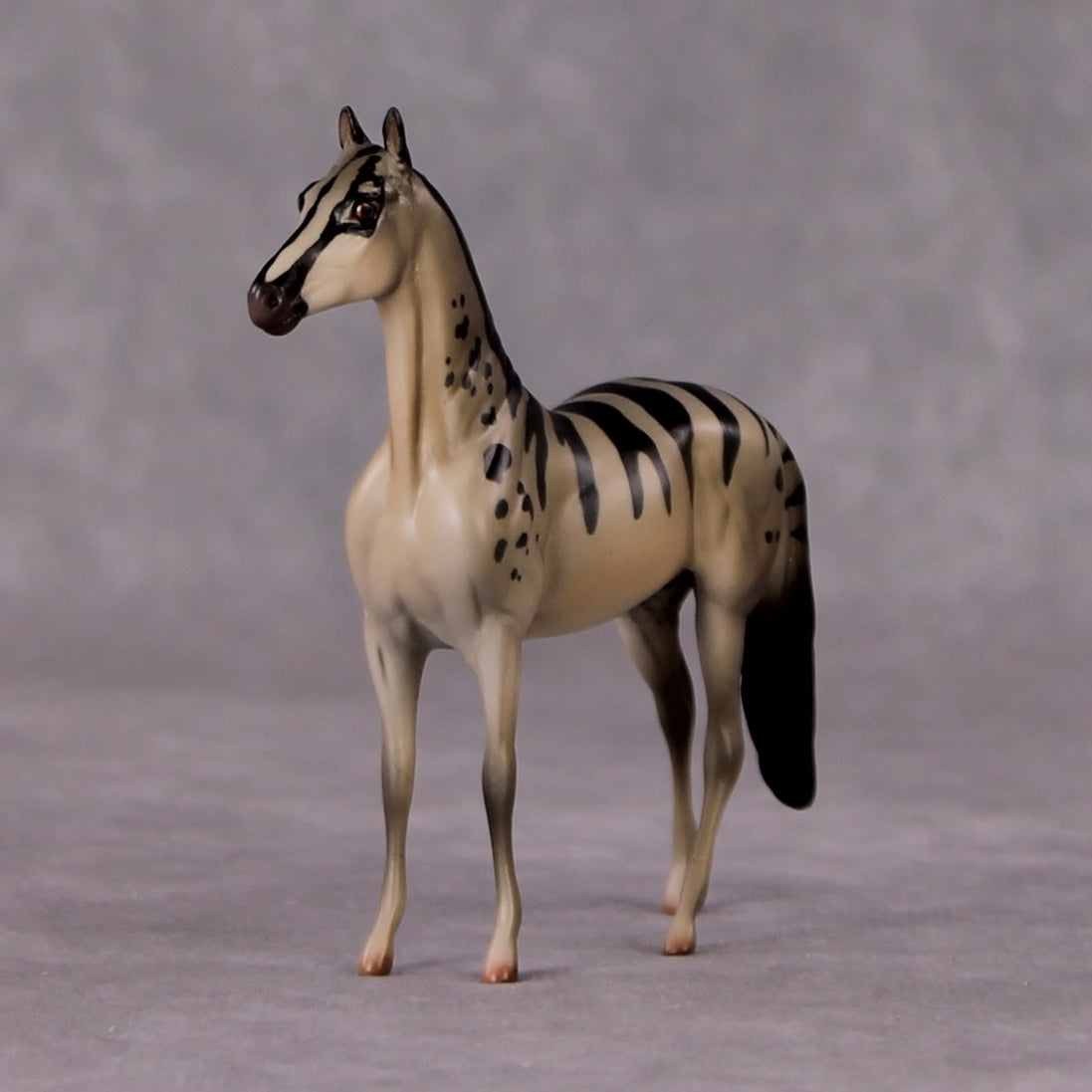 "Viverrid" LE-3 Banded Civet Inspired Deco Morgan Chip By Jess Hamill - 2025 The Menagerie Series MS25
