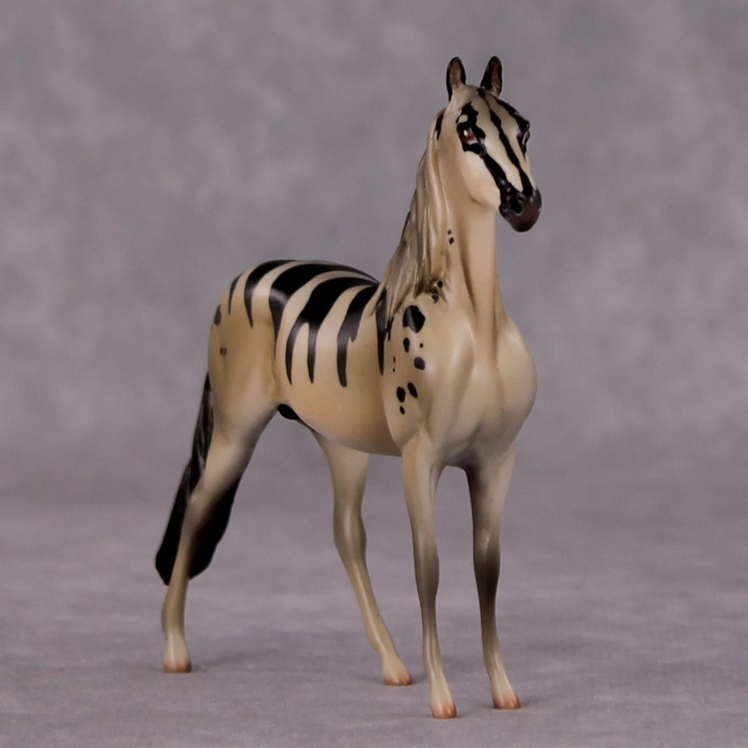 "Viverrid" LE-3 Banded Civet Inspired Deco Morgan Chip By Jess Hamill - 2025 The Menagerie Series MS25