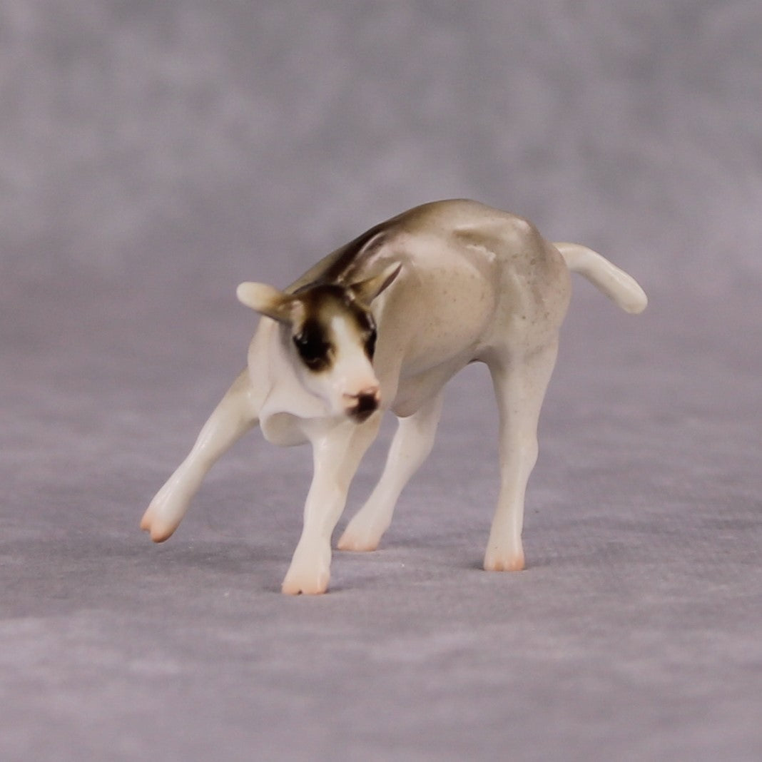 "Sunda" LE-3 Slow Loris Inspired Deco Calf Chip By Jess Hamill - 2025 The Menagerie Series MS25