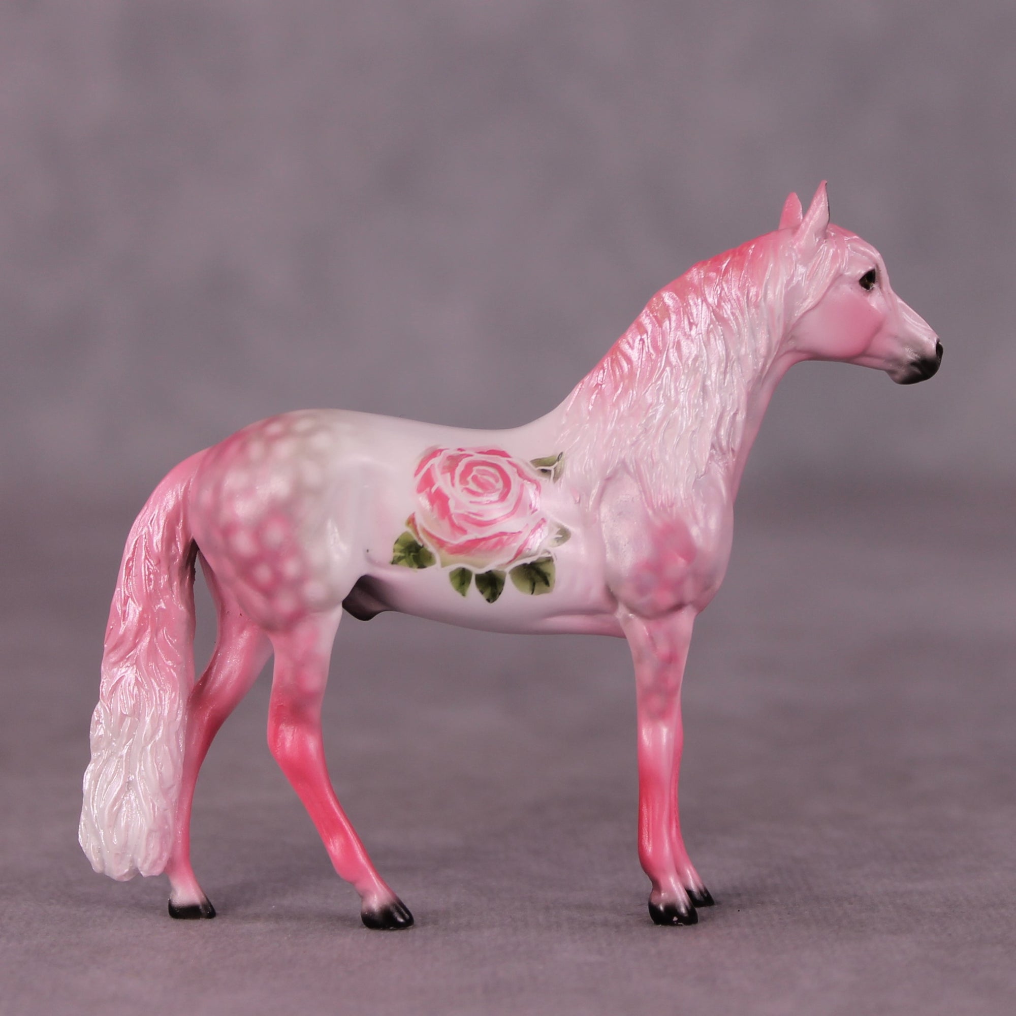 SAMPLE Rosita Chip Andalusian by Dawn Quick 11/25/2025 SS1125