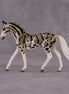 "Neofelis" LE-3 Clouded Leopard Inspired Deco Warmblood Chip By Jess Hamill - 2025 The Menagerie Series MS25