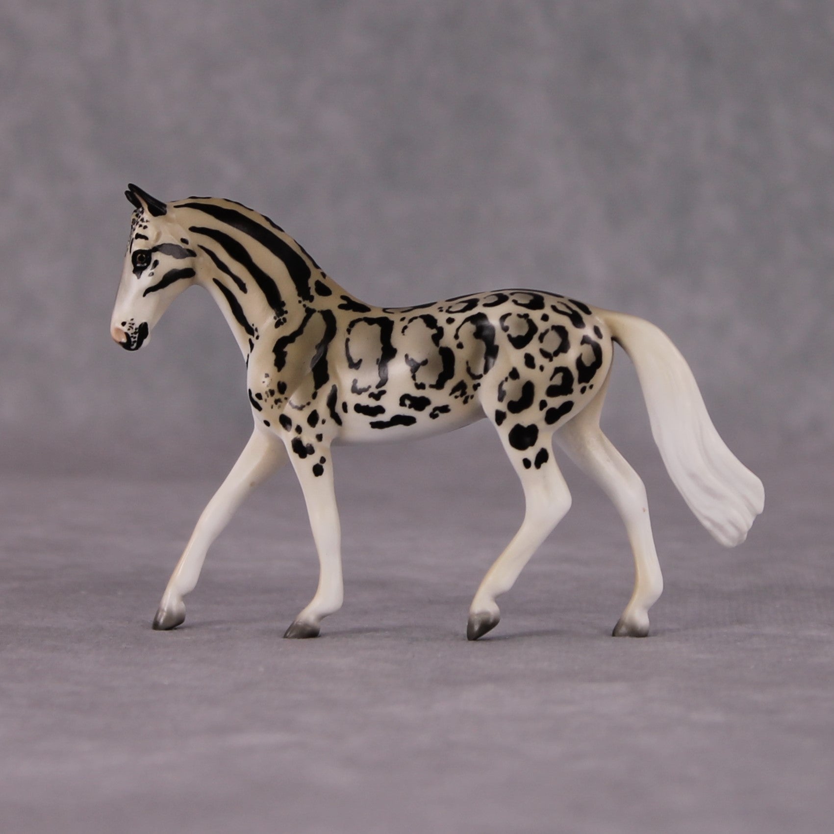 "Neofelis" LE-3 Clouded Leopard Inspired Deco Warmblood Chip By Jess Hamill - 2025 The Menagerie Series MS25