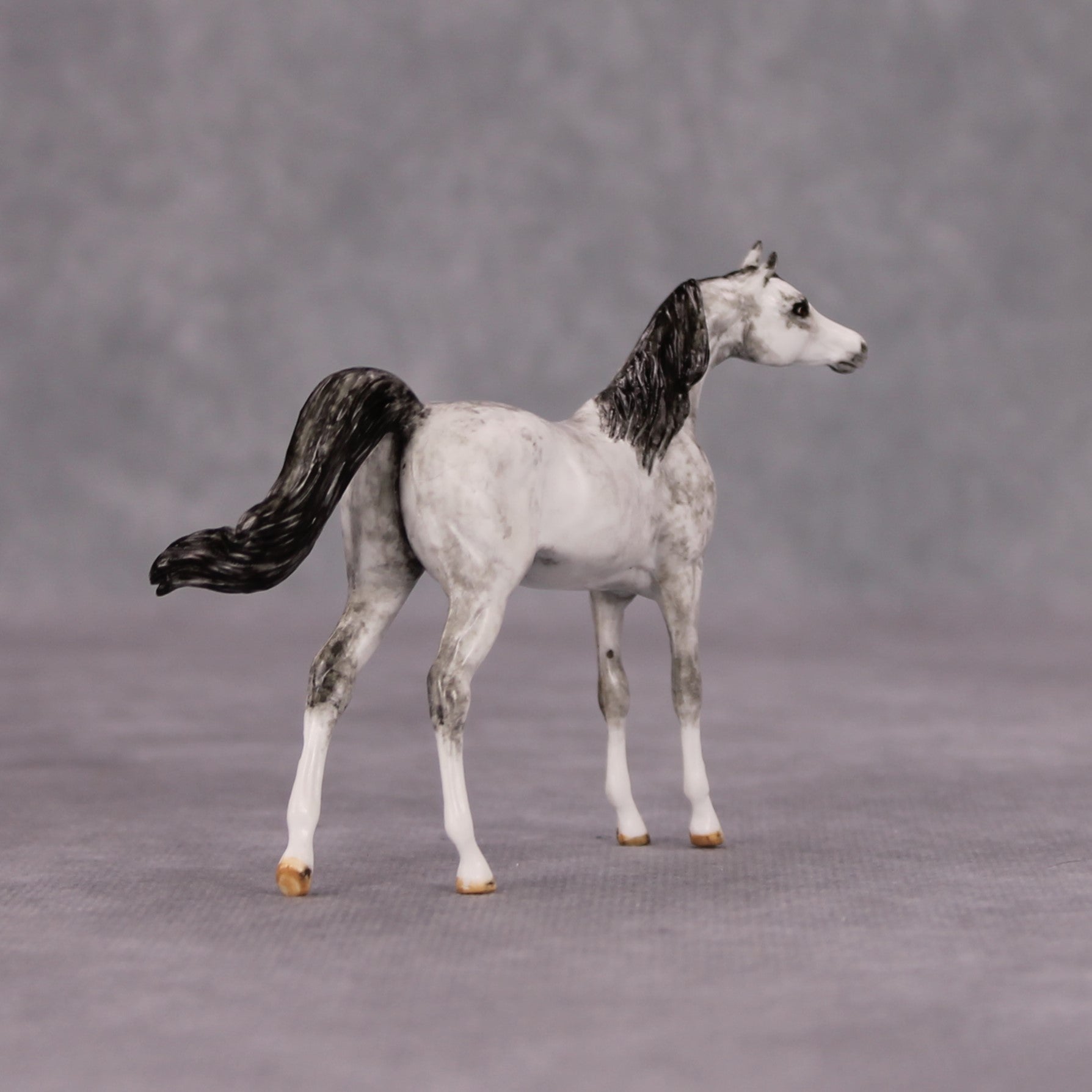 Zoar OOAK Dapple Grey Custom Arabian Mare Chip By Andrea Thomason MM24 MHP Auction Piece