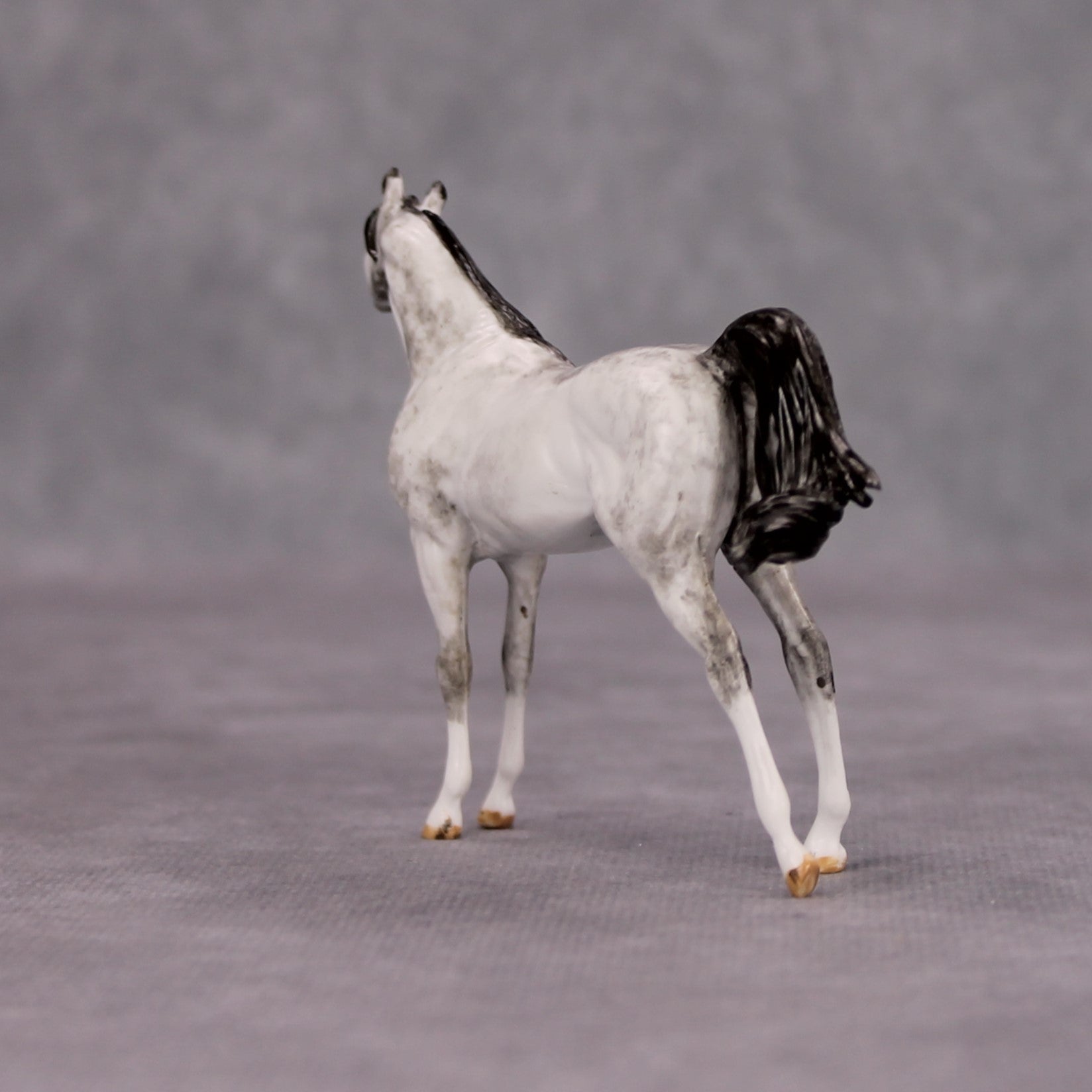 Zoar OOAK Dapple Grey Custom Arabian Mare Chip By Andrea Thomason MM24 MHP Auction Piece