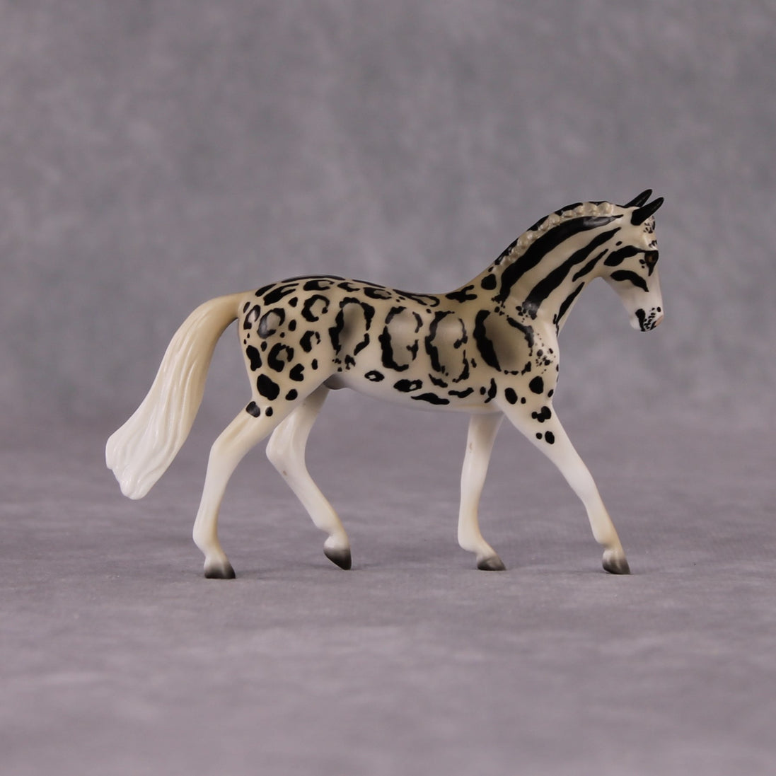 "Neofelis" LE-3 Clouded Leopard Inspired Deco Warmblood Chip By Jess Hamill - 2025 The Menagerie Series MS25