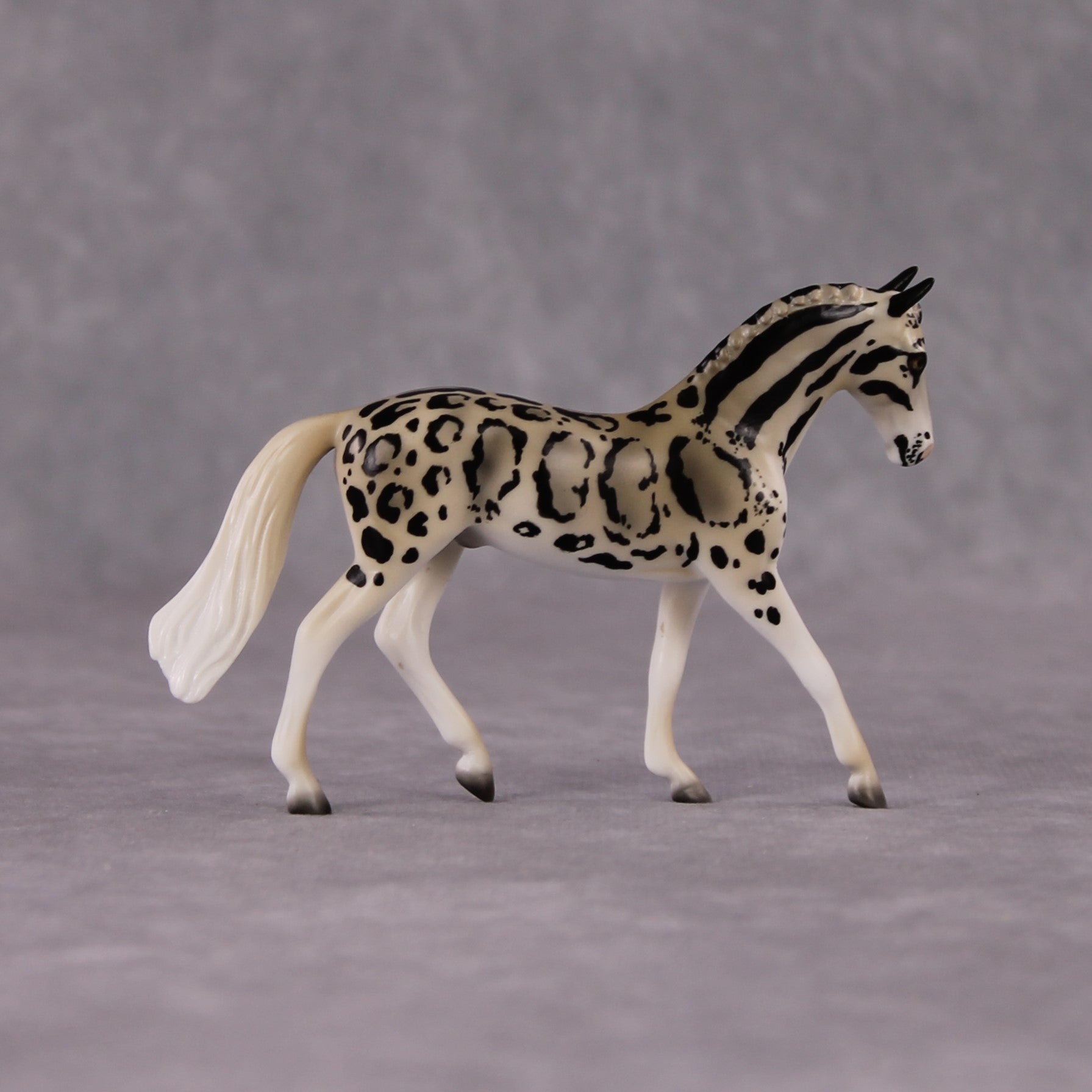 "Neofelis" LE-3 Clouded Leopard Inspired Deco Warmblood Chip By Jess Hamill - 2025 The Menagerie Series MS25
