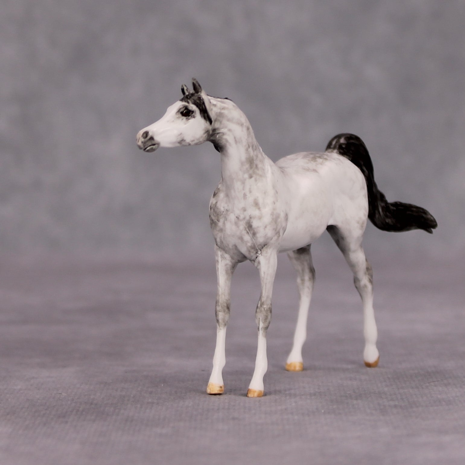 Zoar OOAK Dapple Grey Custom Arabian Mare Chip By Andrea Thomason MM24 MHP Auction Piece