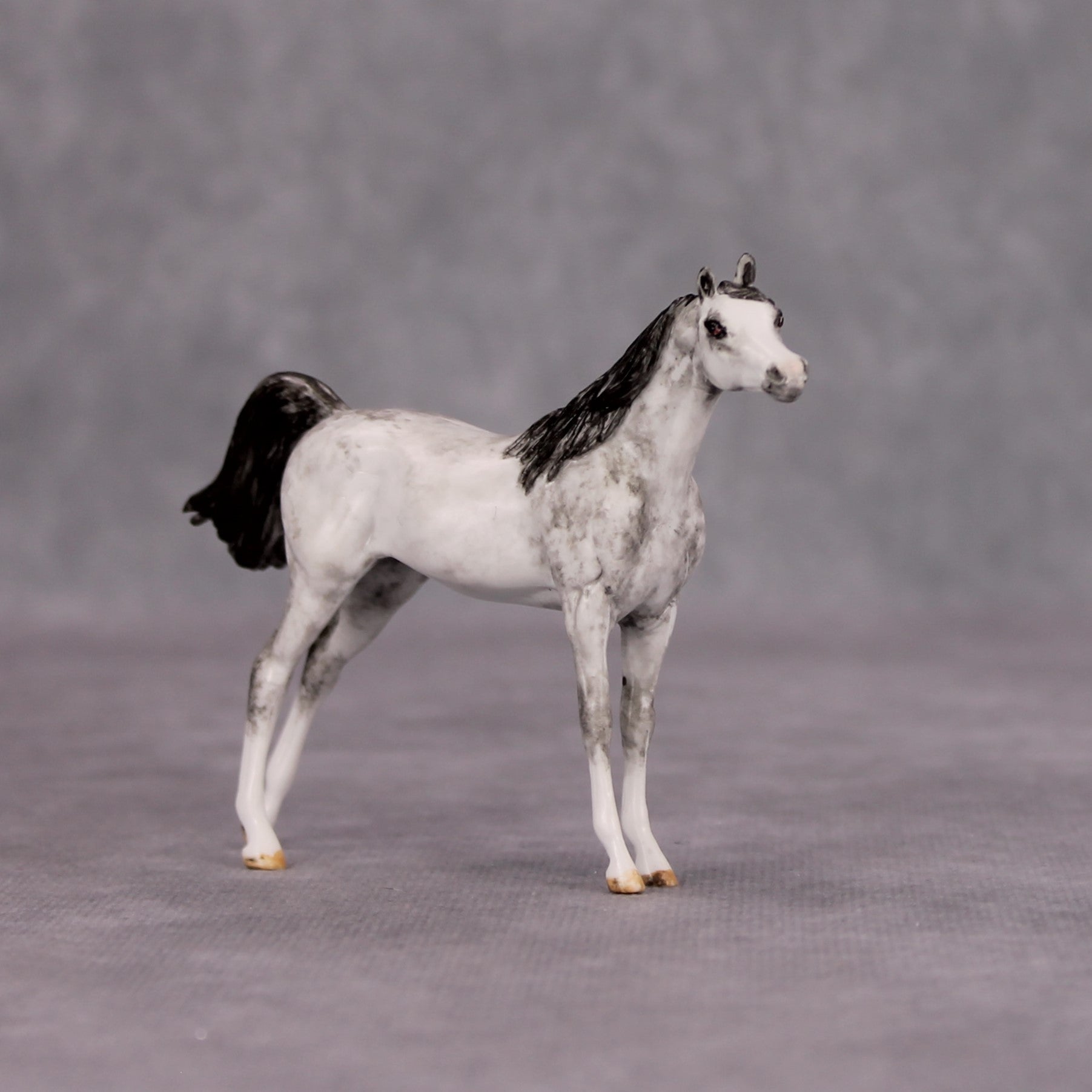 Zoar OOAK Dapple Grey Custom Arabian Mare Chip By Andrea Thomason MM24 MHP Auction Piece