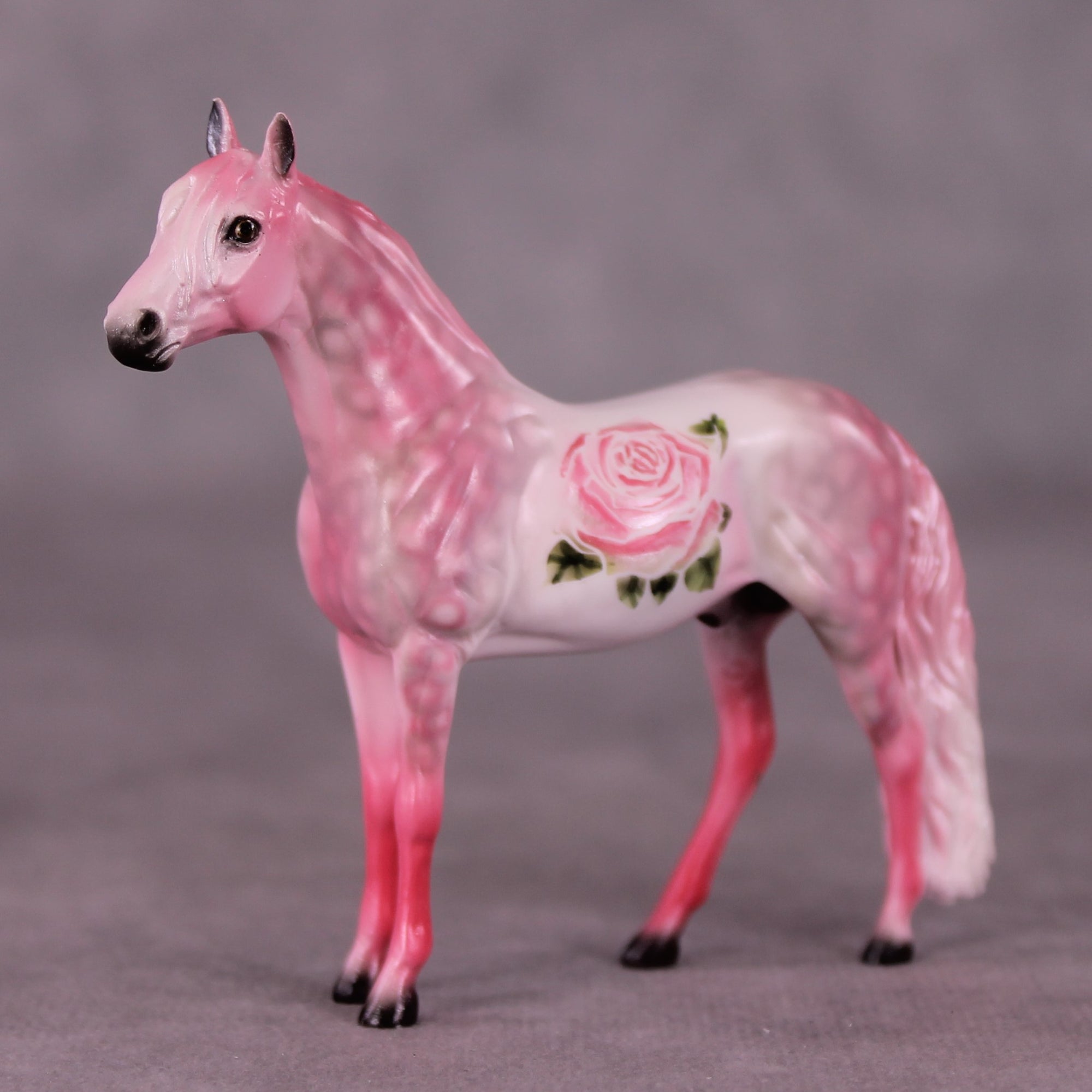 SAMPLE Rosita Chip Andalusian by Dawn Quick 11/25/2025 SS1125