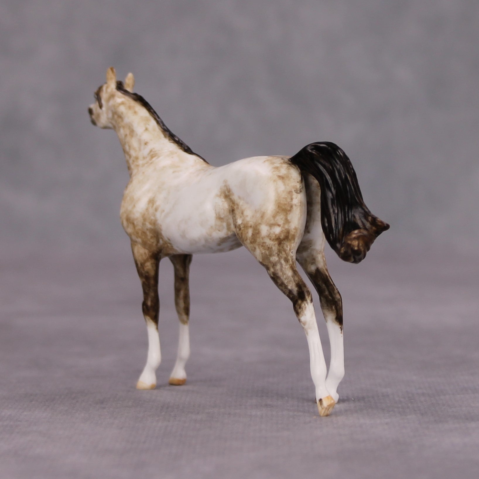Elim OOAK Dapple Rose Grey Custom Arabian Mare Chip By Andrea Thomason MM24 MHP Auction Piece
