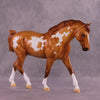 Summit OOAK FCM Irish Draught by Erin Corbett DDOOAKs25