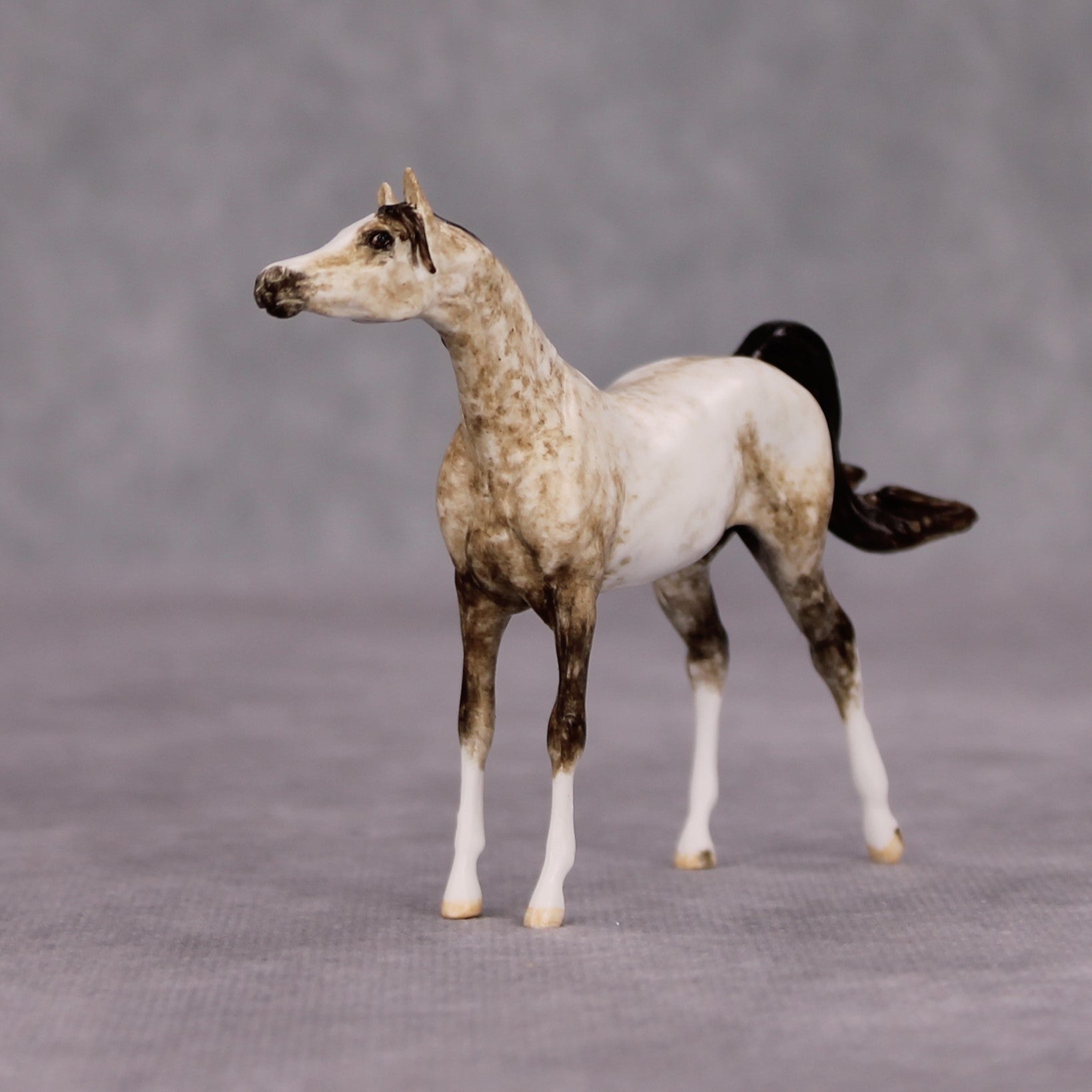 Elim OOAK Dapple Rose Grey Custom Arabian Mare Chip By Andrea Thomason MM24 MHP Auction Piece