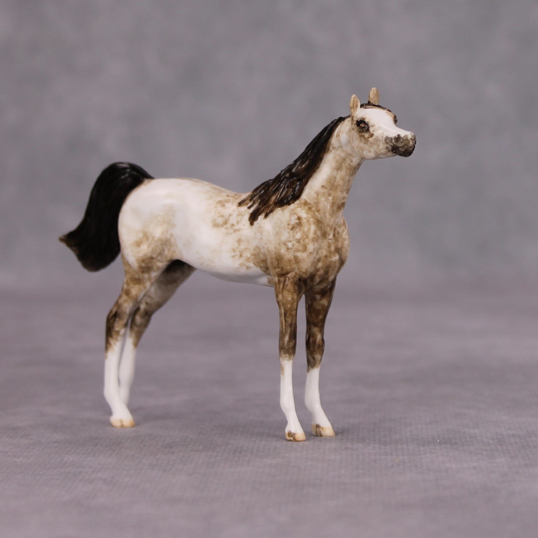 Elim OOAK Dapple Rose Grey Custom Arabian Mare Chip By Andrea Thomason MM24 MHP Auction Piece