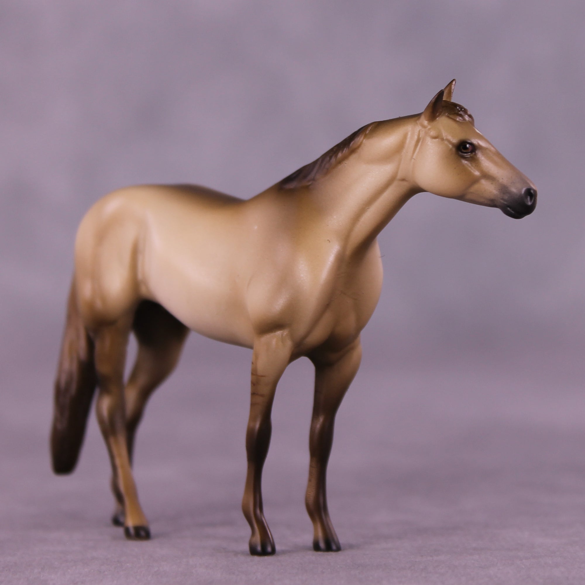 Morrow OOAK Chip Stock Horse by Julie Keim Special Chip Drop