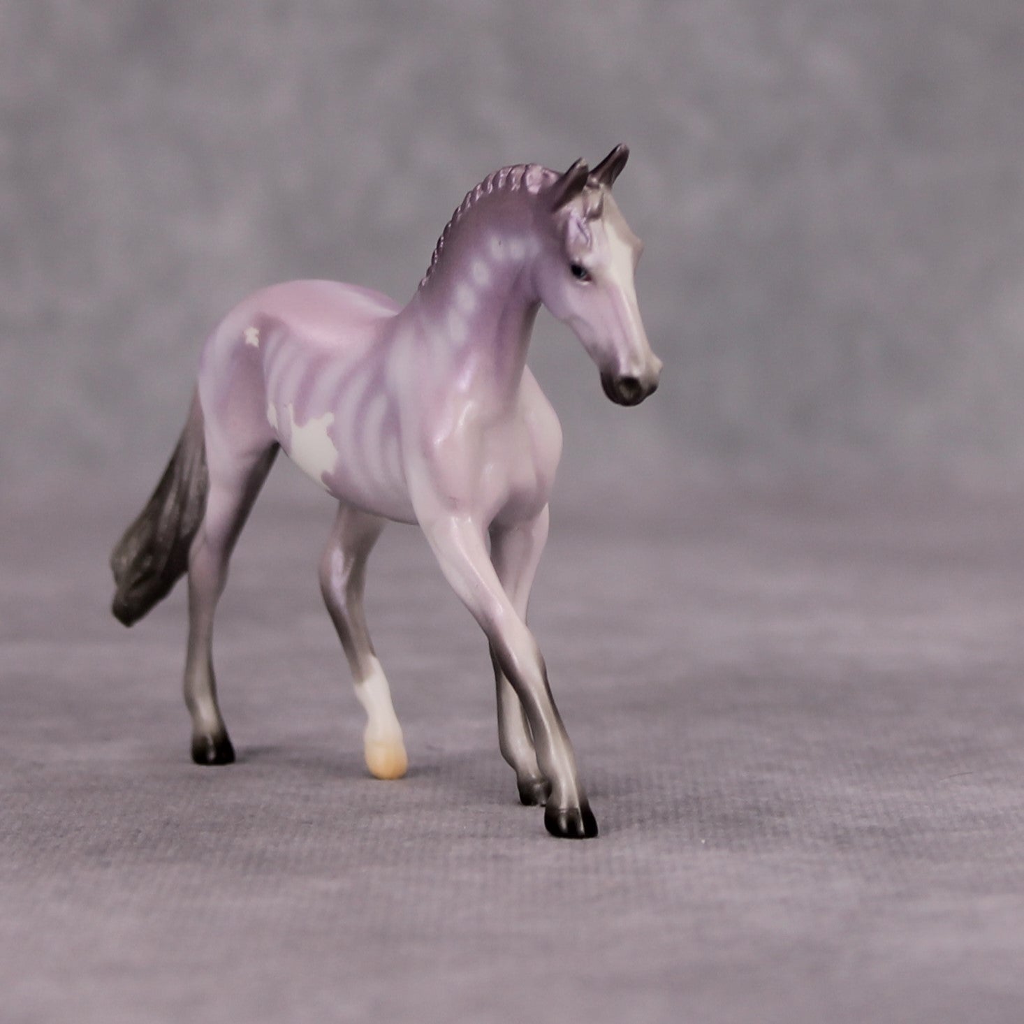 Elephant Graveyard OOAK Lavender Skeleton Deco Warmblood Chip By Jess Hamill MM24