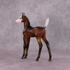 &quot;Lactiflora&quot; &amp; &quot;Ioth&quot; Arab Foal By Dawn Quick May Flower Series FS25