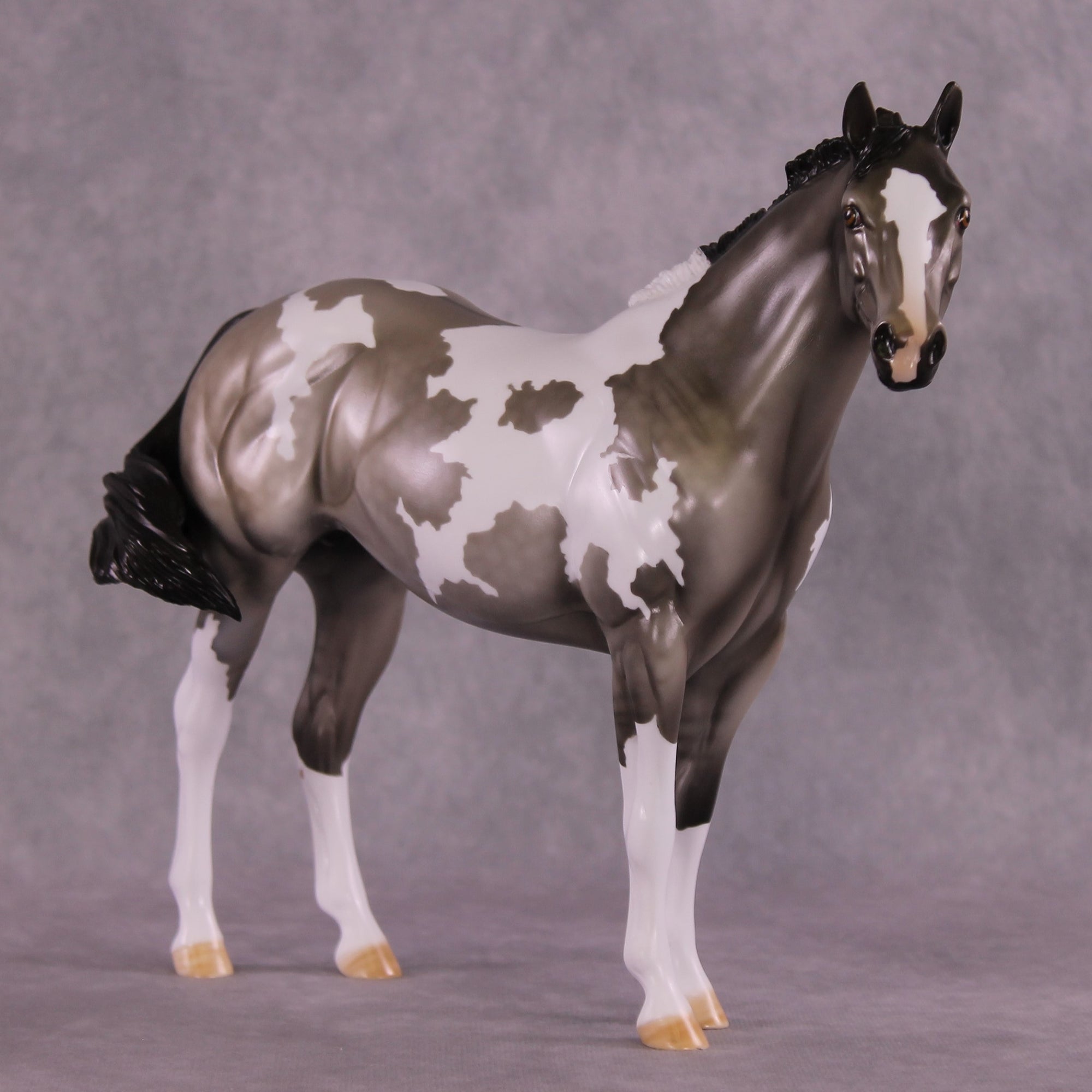 "Halstead" OOAK FCM Ideal Stock Horse by Dawn Quick EQ25