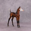 &quot;Lactiflora&quot; &amp; &quot;Ioth&quot; Arab Foal By Dawn Quick May Flower Series FS25