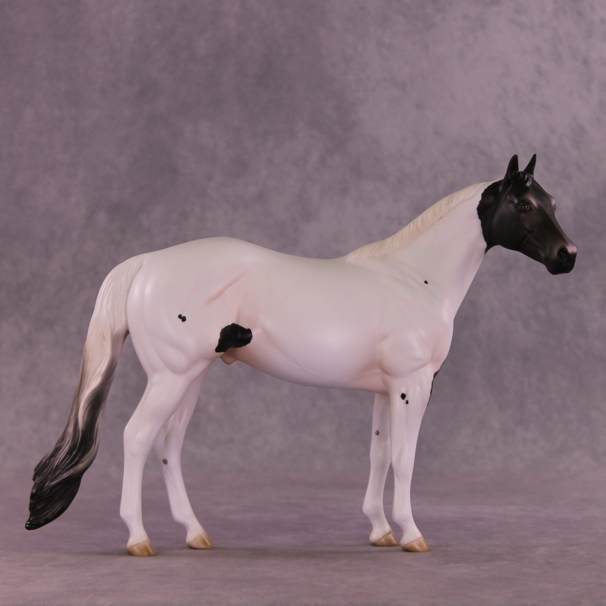 Savile Row OOAK Ideal Stock Horse by Jess Hamill DDOOAKs26