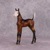 &quot;Lactiflora&quot; &amp; &quot;Ioth&quot; Arab Foal By Dawn Quick May Flower Series FS25