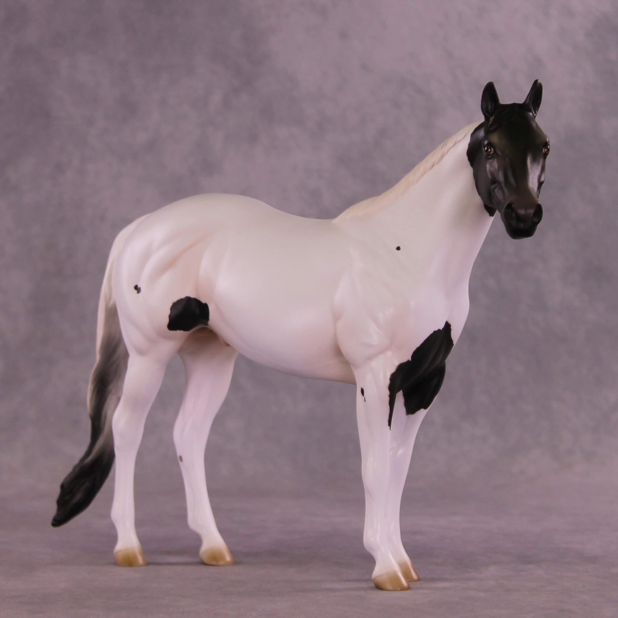 Savile Row OOAK Ideal Stock Horse by Jess Hamill DDOOAKs26