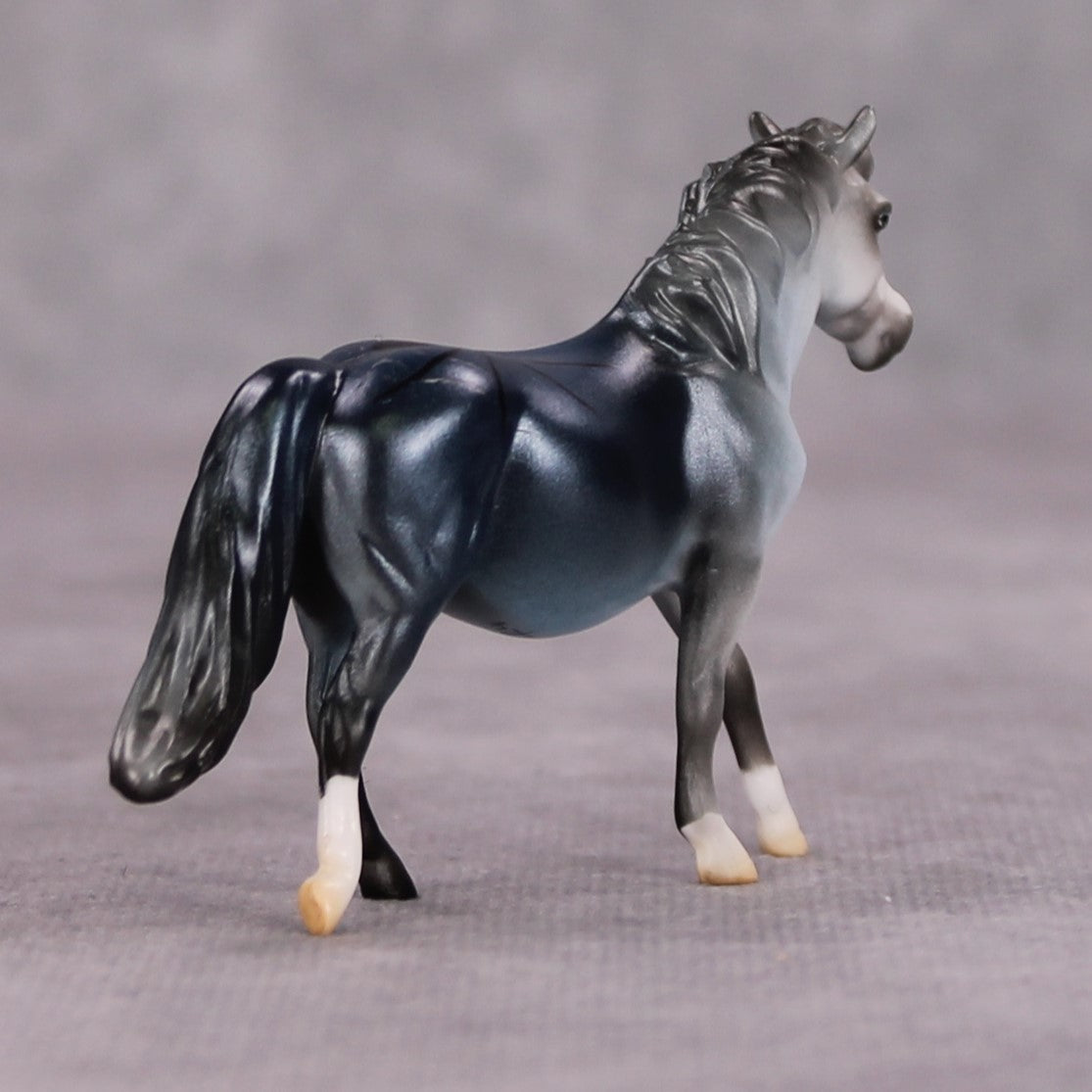 Cannon Event OOAK Spider Deco Pony Chip By Jess Hamill MM24
