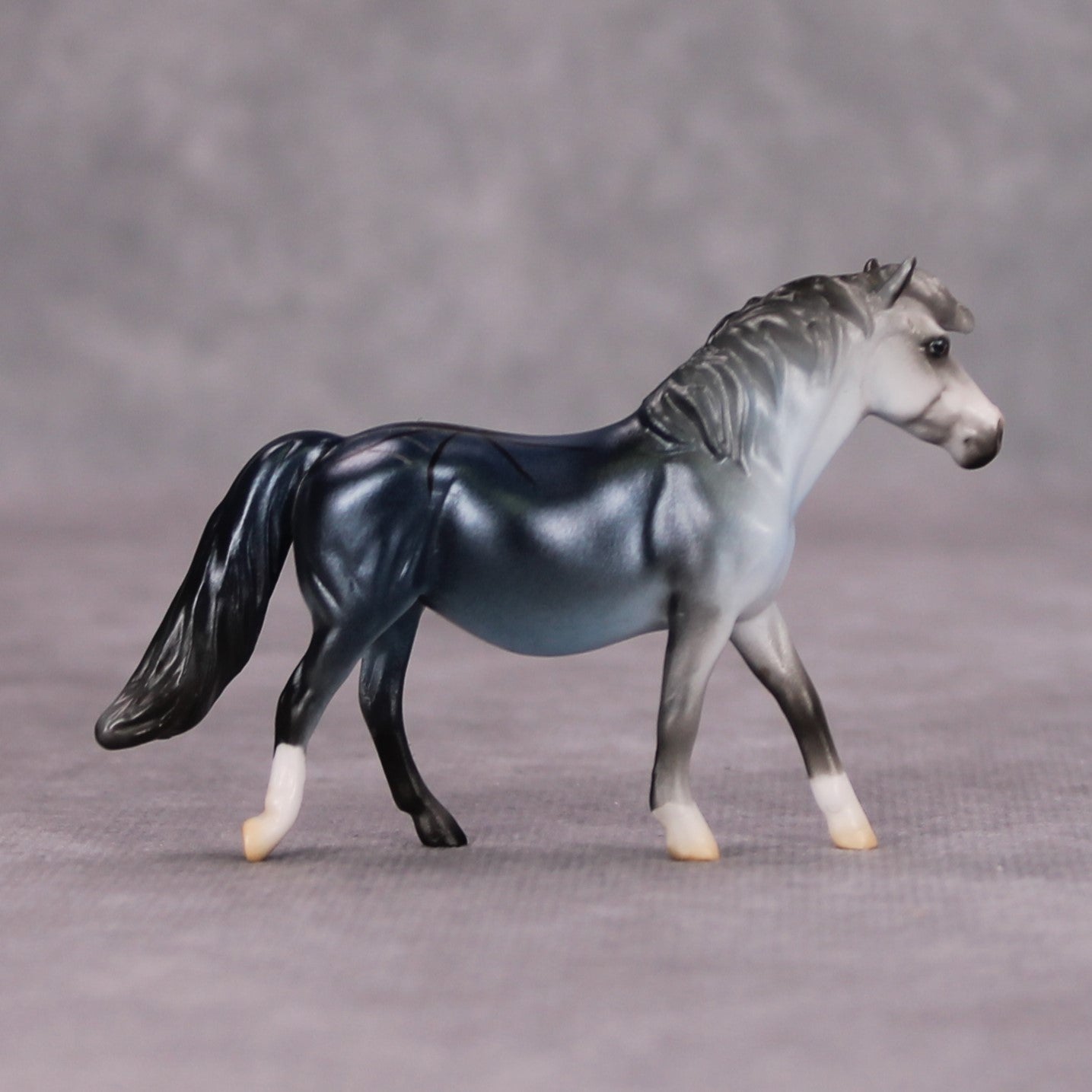 Cannon Event OOAK Spider Deco Pony Chip By Jess Hamill MM24