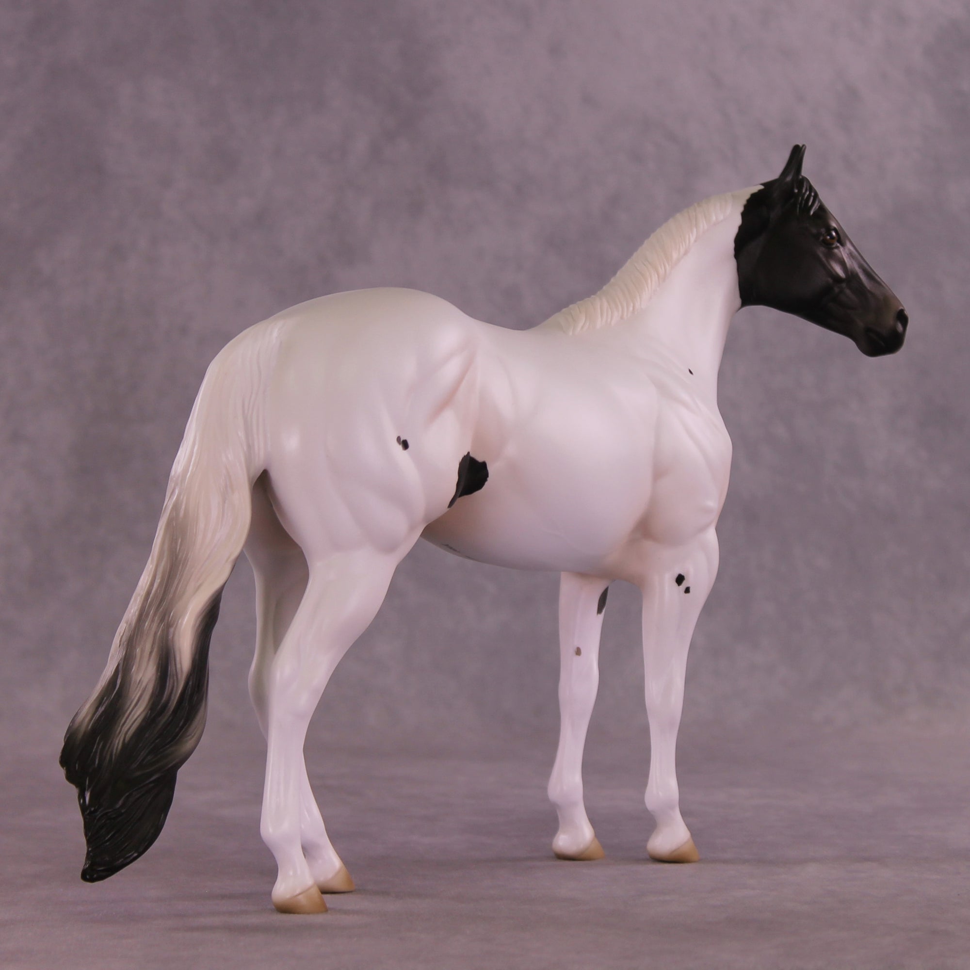 Savile Row OOAK Ideal Stock Horse by Jess Hamill DDOOAKs26