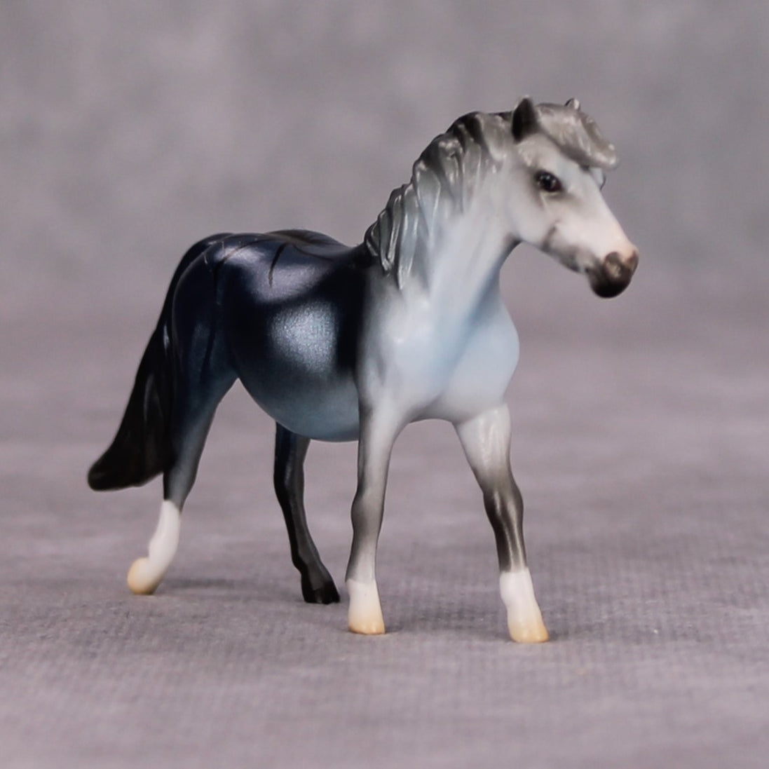Cannon Event OOAK Spider Deco Pony Chip By Jess Hamill MM24