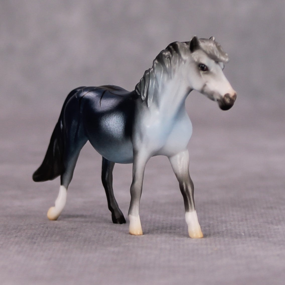 Cannon Event OOAK Spider Deco Pony Chip By Jess Hamill MM24