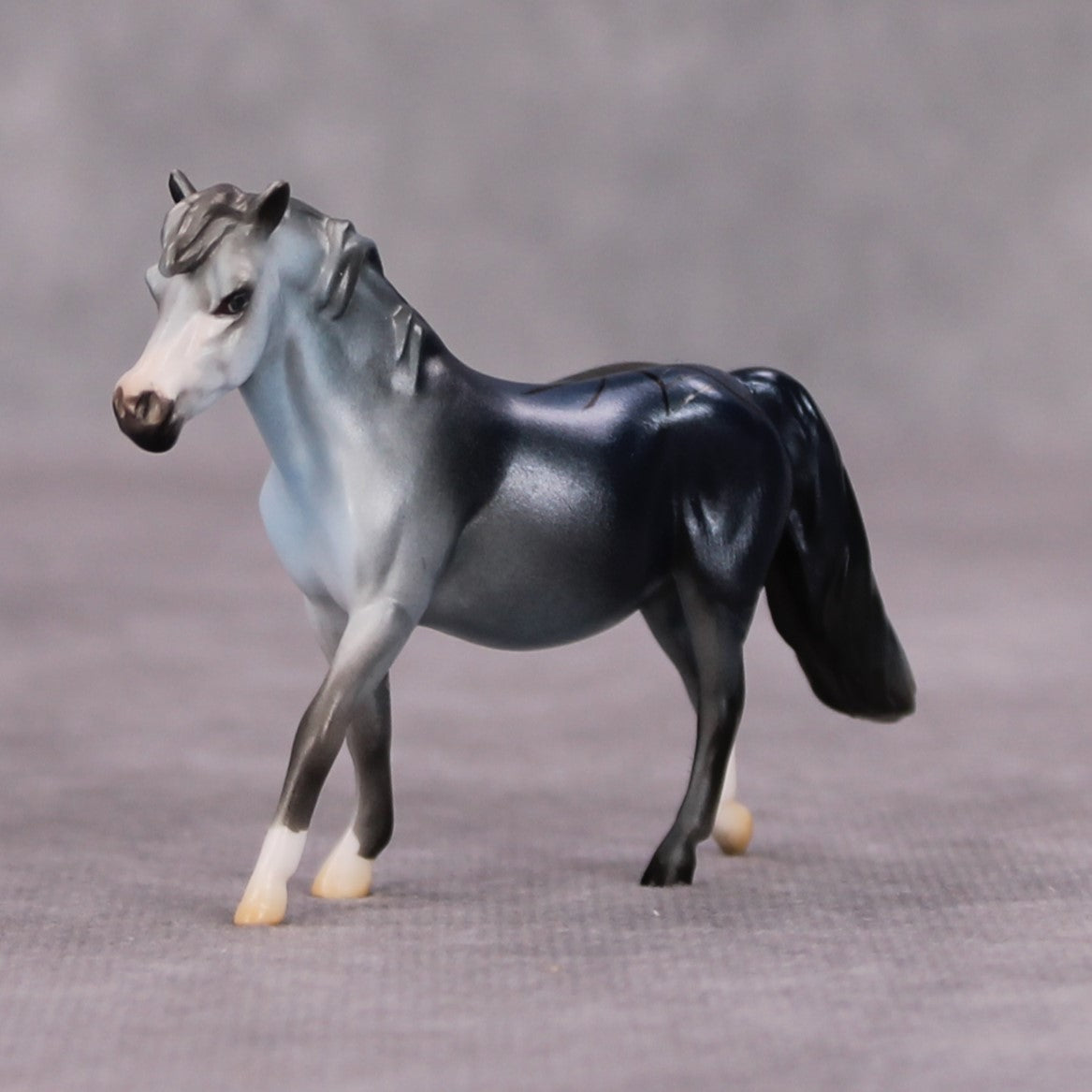 Cannon Event OOAK Spider Deco Pony Chip By Jess Hamill MM24