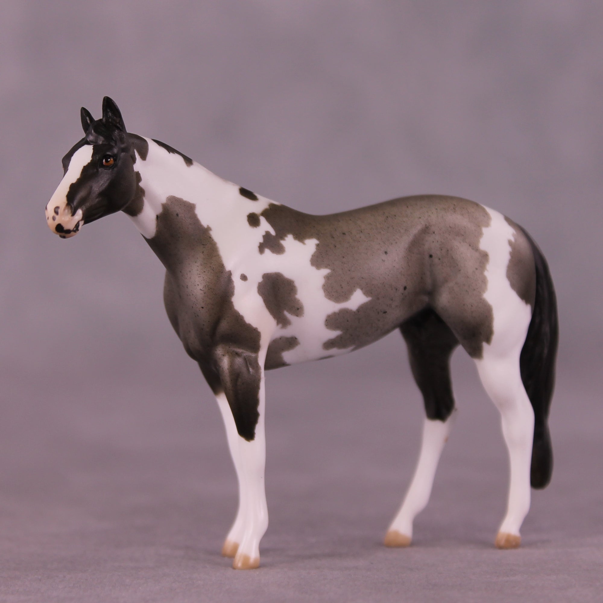 Tillamook OOAK Chip Stock Horse by Julie Keim Special Chip Drop