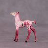 &quot;Petalode&quot; &amp; &quot;Ant&quot; Foal Chip By Dawn Quick May Flower Series FS25
