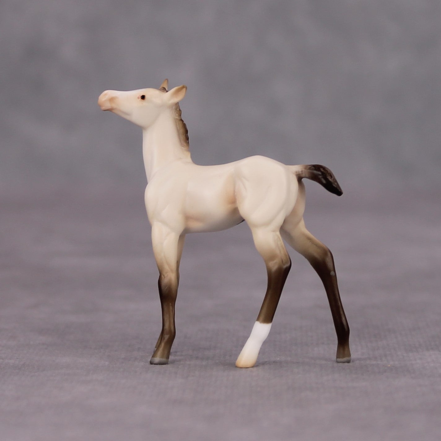 Moon Flower OOAK Champagne Chip Foal By Ashley Palmer MM24 MHP Auction