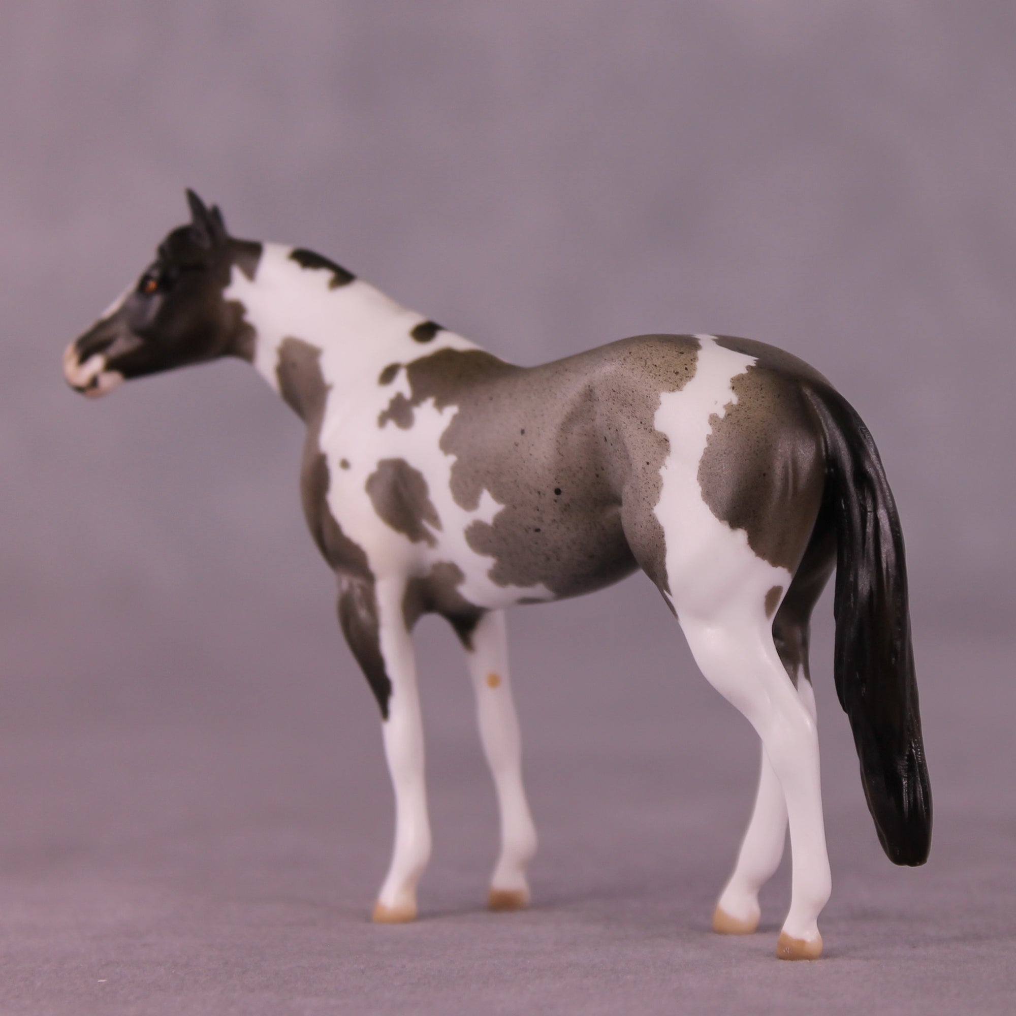 Tillamook OOAK Chip Stock Horse by Julie Keim Special Chip Drop