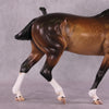&quot;Kamoze&quot; OOAK FCM Irish Draught By Caroline Boydston SHCF25 Best Offer 5/27/25