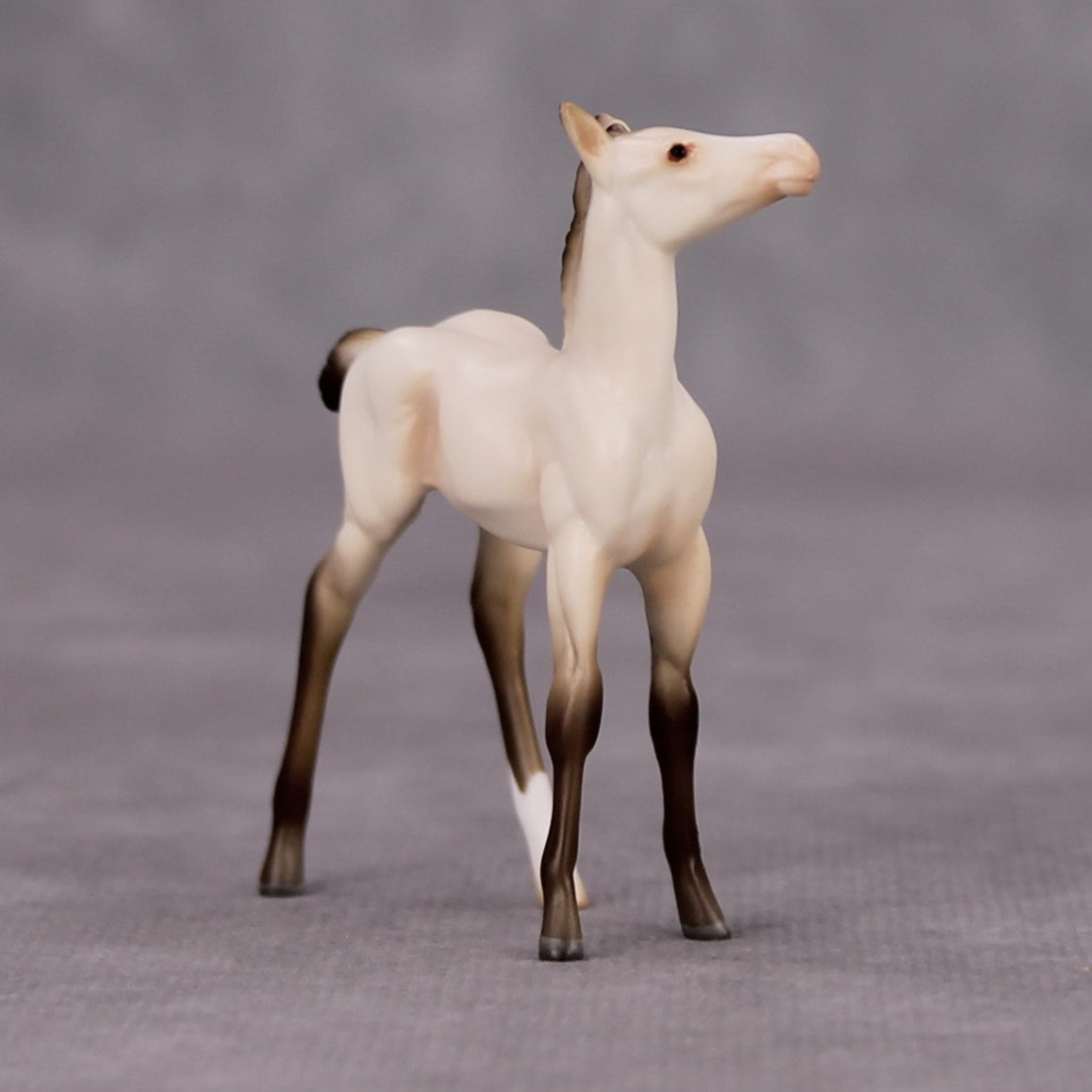 Moon Flower OOAK Champagne Chip Foal By Ashley Palmer MM24 MHP Auction