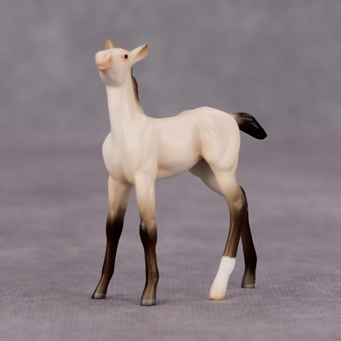 Moon Flower OOAK Champagne Chip Foal By Ashley Palmer MM24 MHP Auction