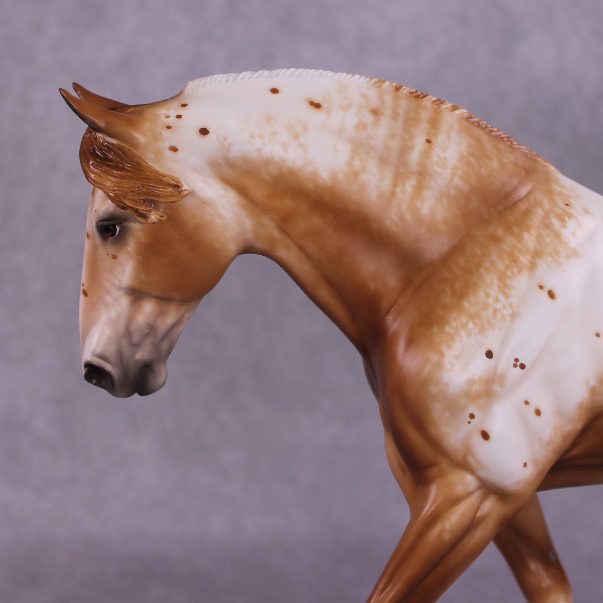 "Aureolin" OOAK Irish Draught by Sheryl Leisure Best Offer 6/24/25