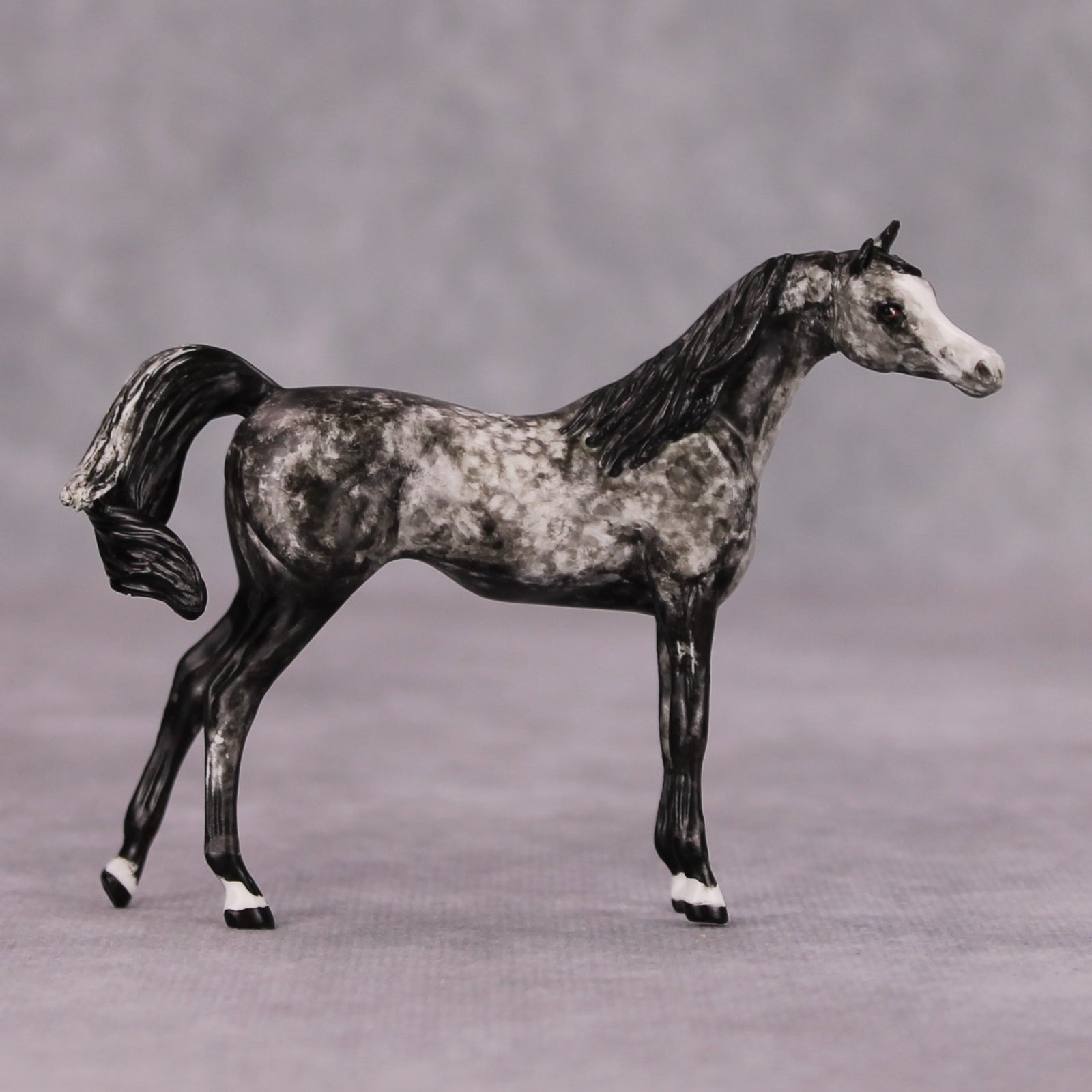 Elath OOAK Dappled Grey Custom Arabian Mare Chip By Andrea Thomason MM24
