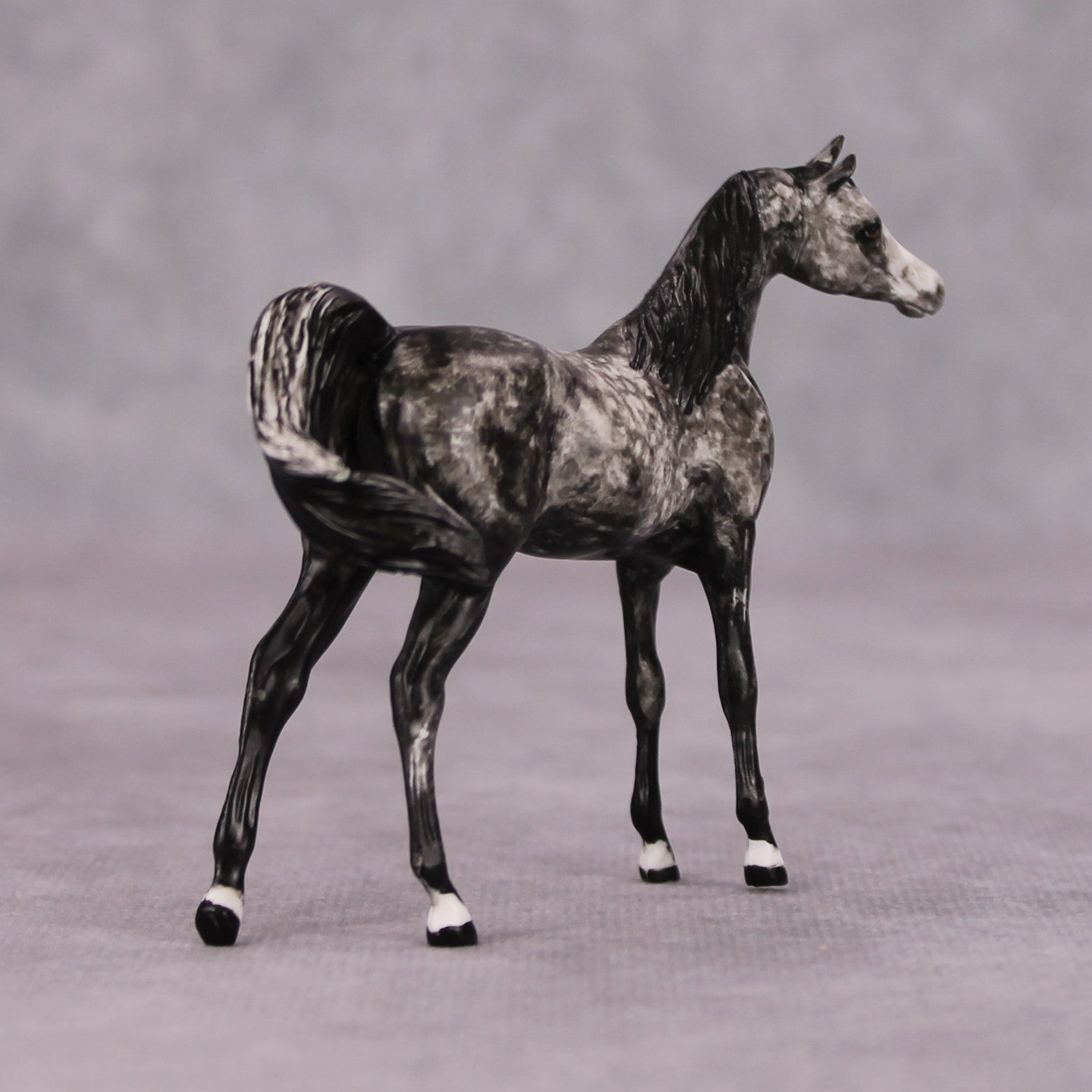 Elath OOAK Dappled Grey Custom Arabian Mare Chip By Andrea Thomason MM24