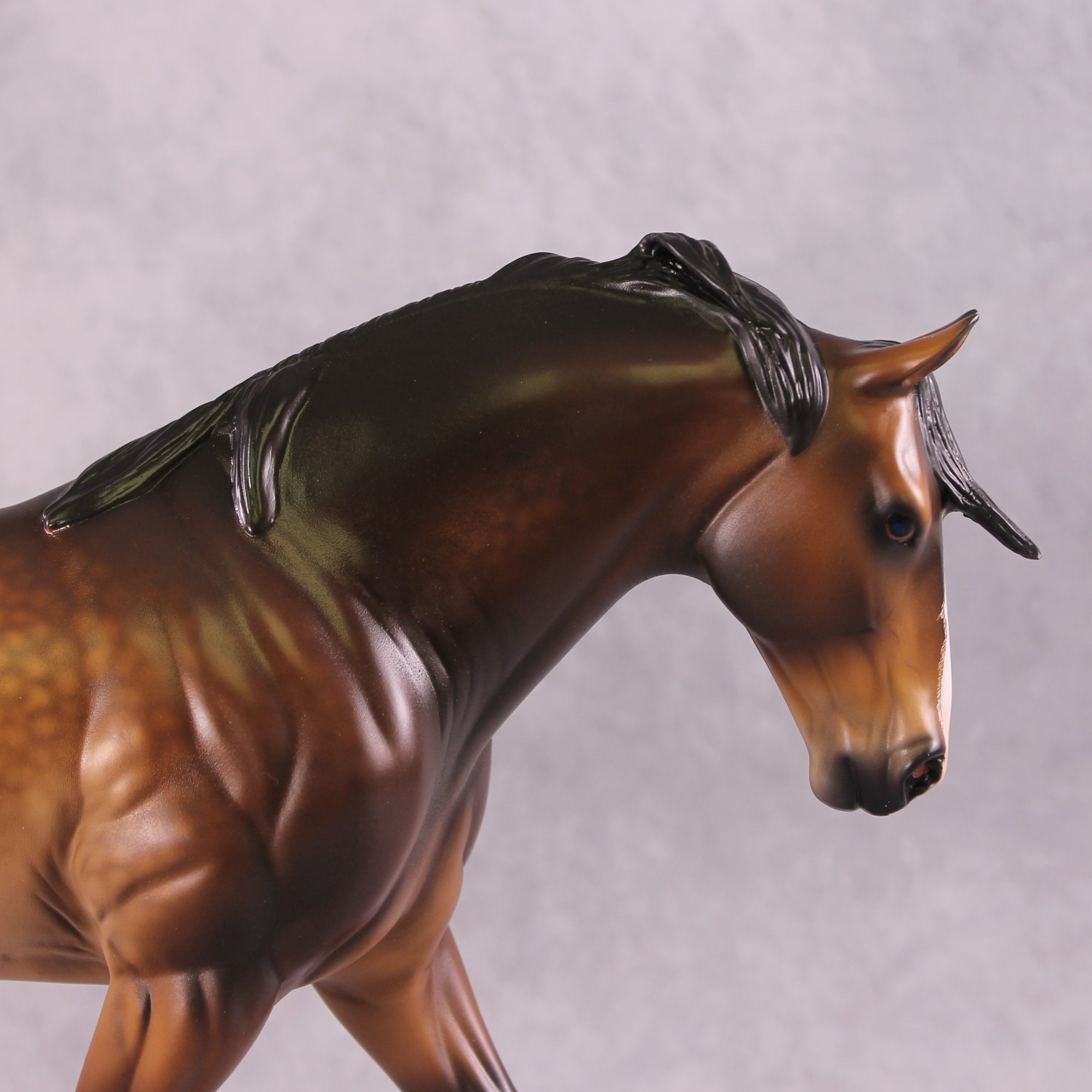 "Kamoze" OOAK FCM Irish Draught By Caroline Boydston SHCF25 Best Offer 5/27/25