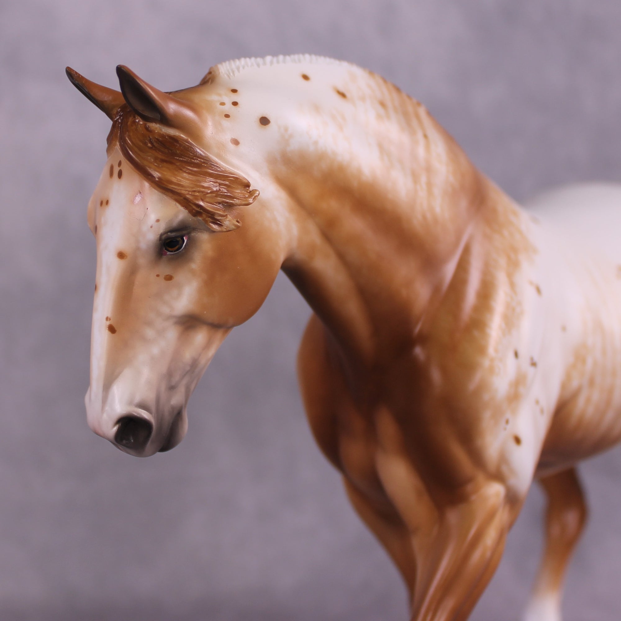 "Aureolin" OOAK Irish Draught by Sheryl Leisure Best Offer 6/24/25