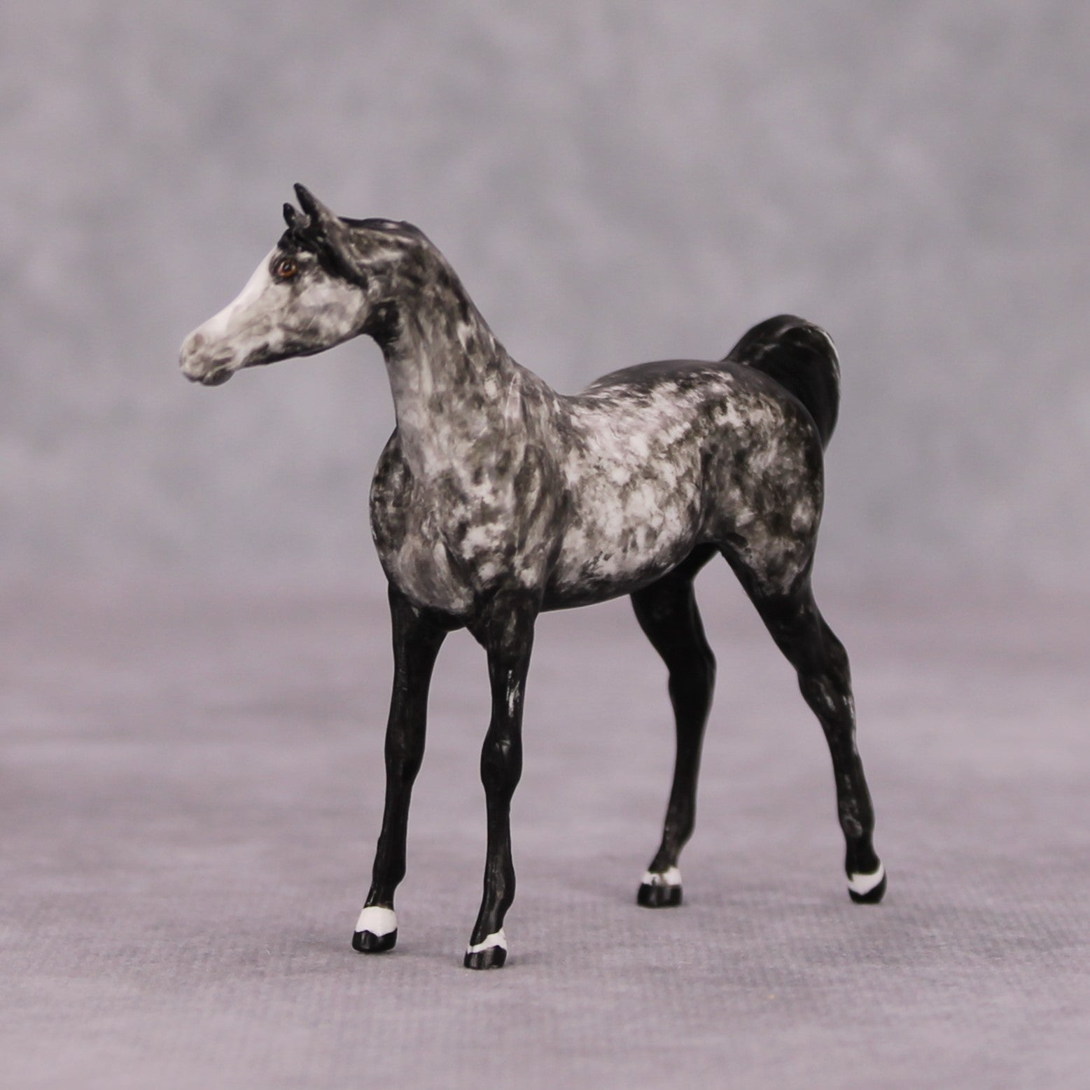 Elath OOAK Dappled Grey Custom Arabian Mare Chip By Andrea Thomason MM24