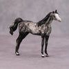 Elath OOAK Dappled Grey Custom Arabian Mare Chip By Andrea Thomason MM24