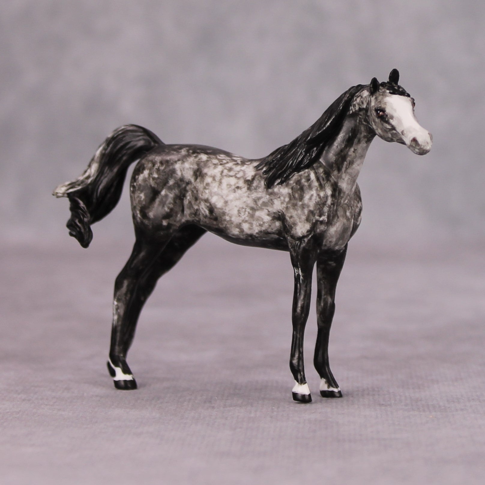 Elath OOAK Dappled Grey Custom Arabian Mare Chip By Andrea Thomason MM24
