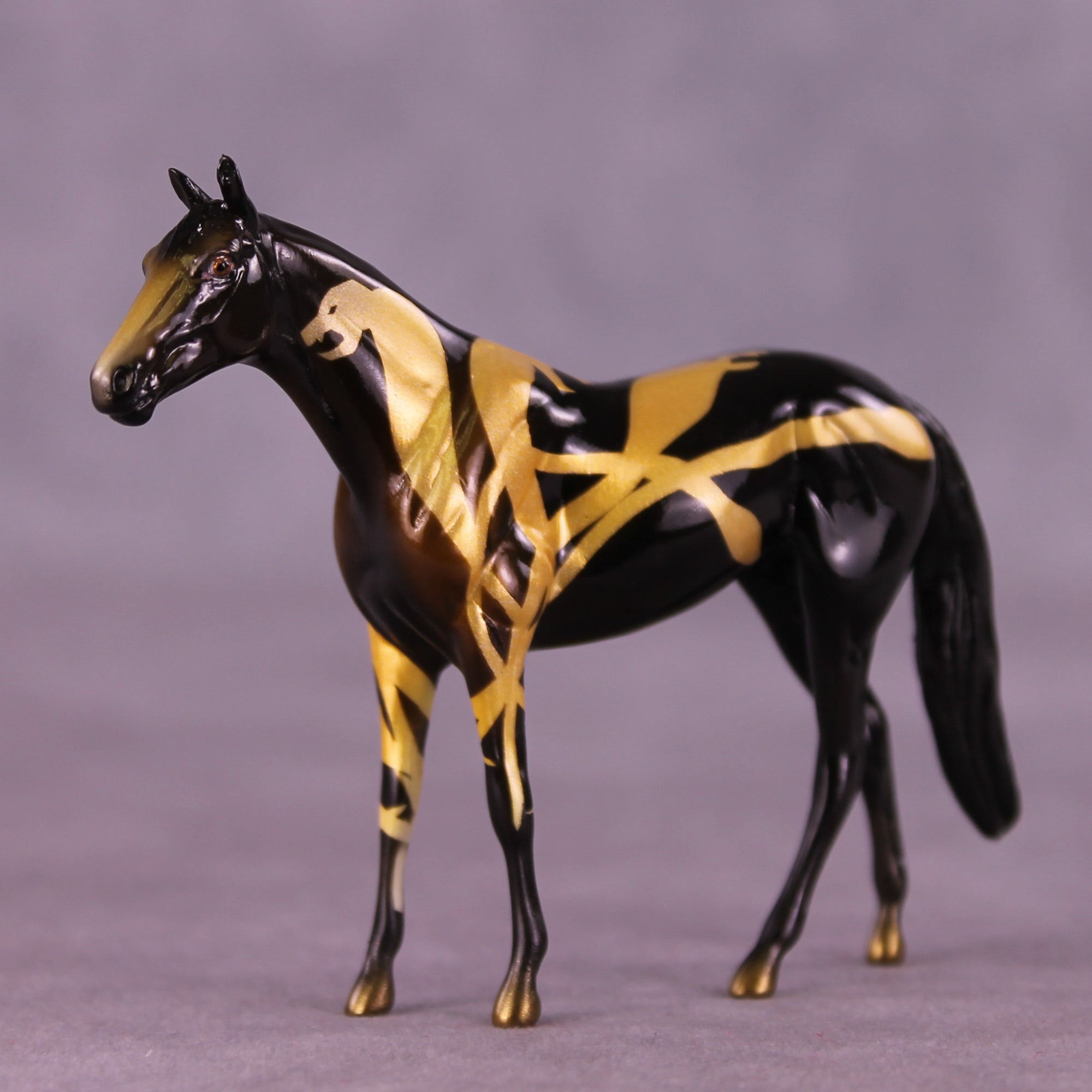 No Explanation LE-5 Chip Thoroughbred by Kike (Enrique) Duarte SCD25