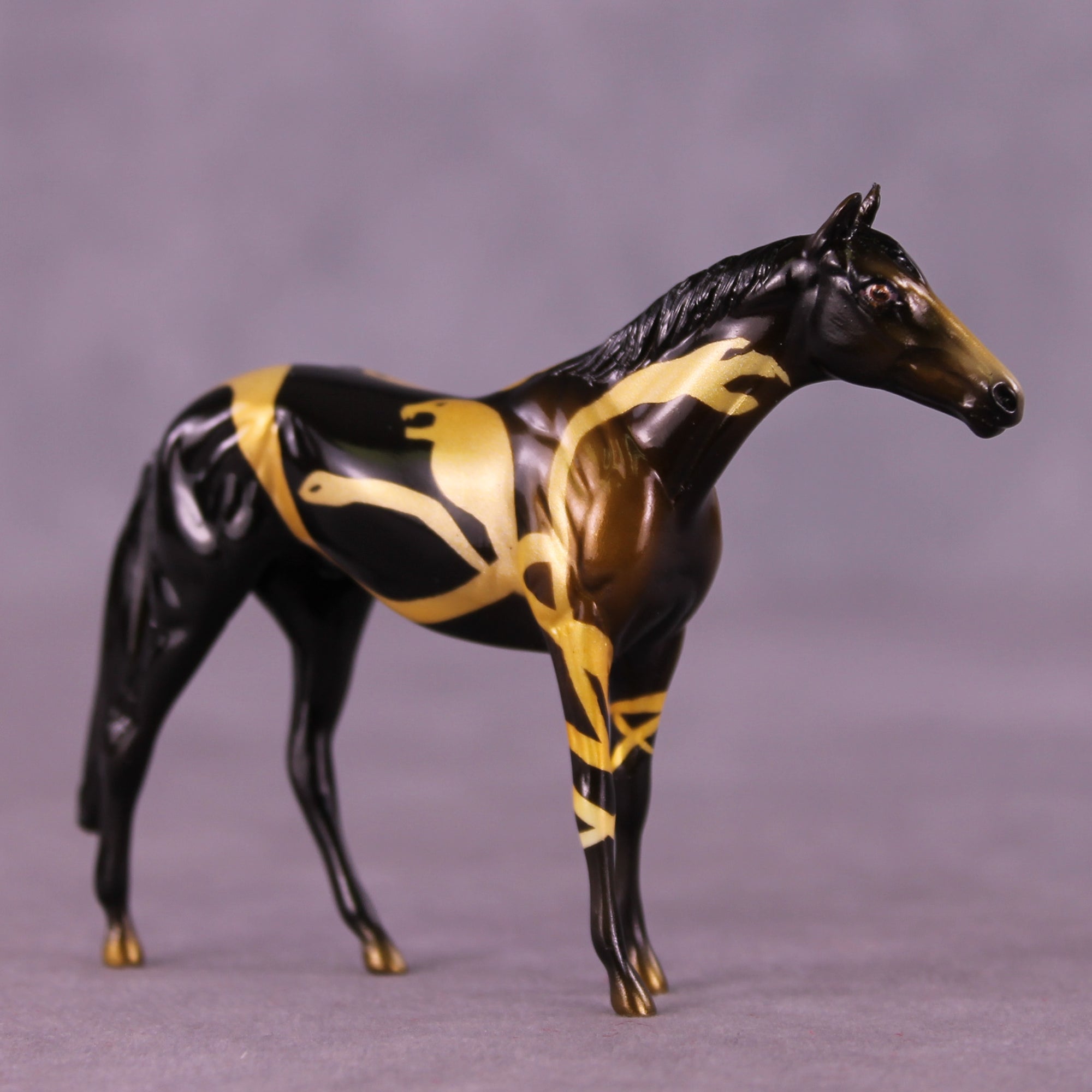 No Explanation LE-5 Chip Thoroughbred by Kike (Enrique) Duarte SCD25