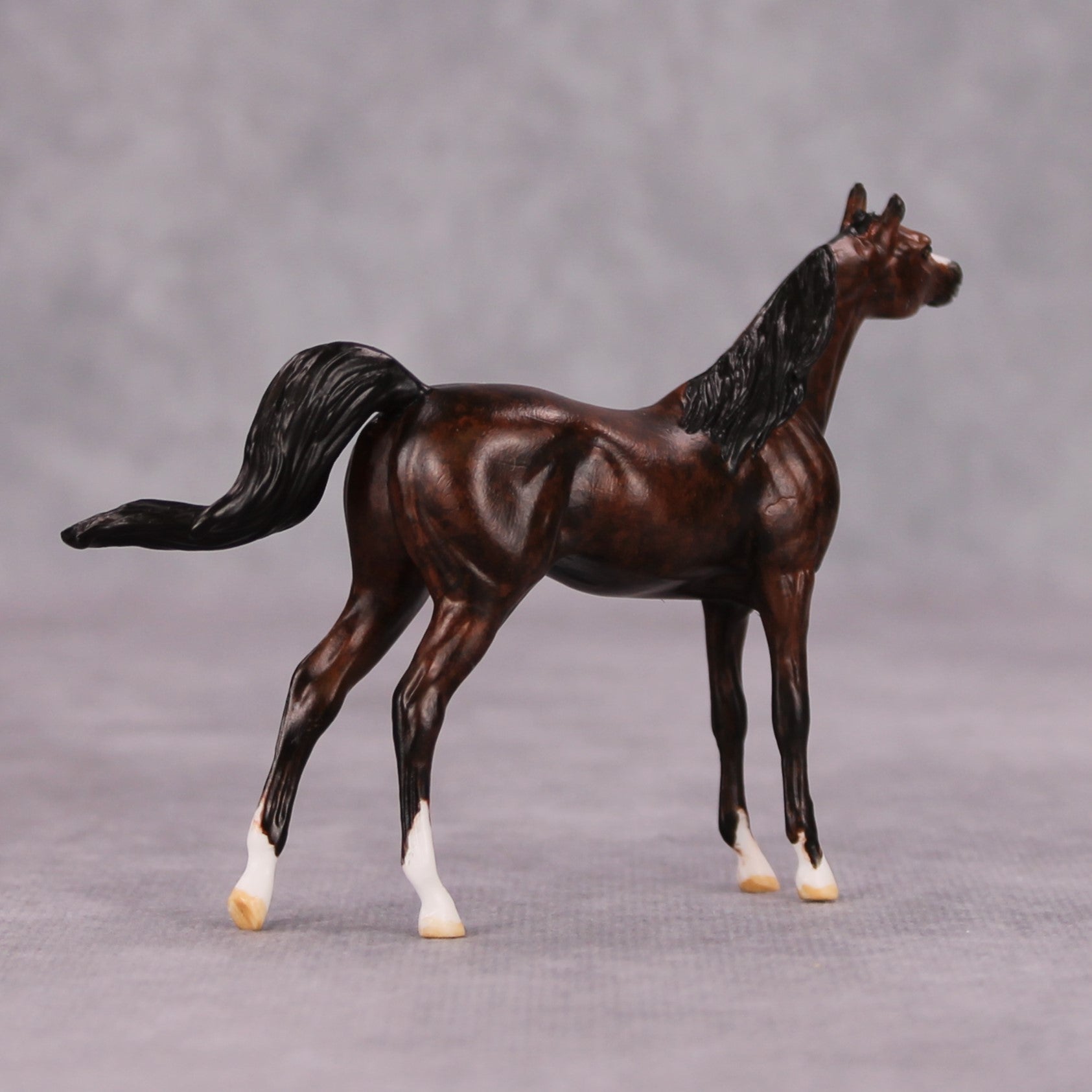 Hazeroth OOAK Bay Custom Arabian Mare Chip By Andrea Thomason MM24